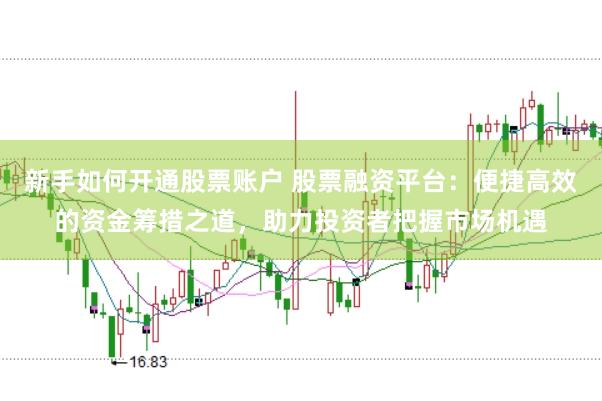 新手如何开通股票账户 股票融资平台：便捷高效的资金筹措之道，助力投资者把握市场机遇