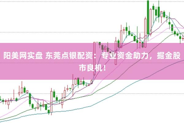 阳美网实盘 东莞点银配资：专业资金助力，掘金股市良机！